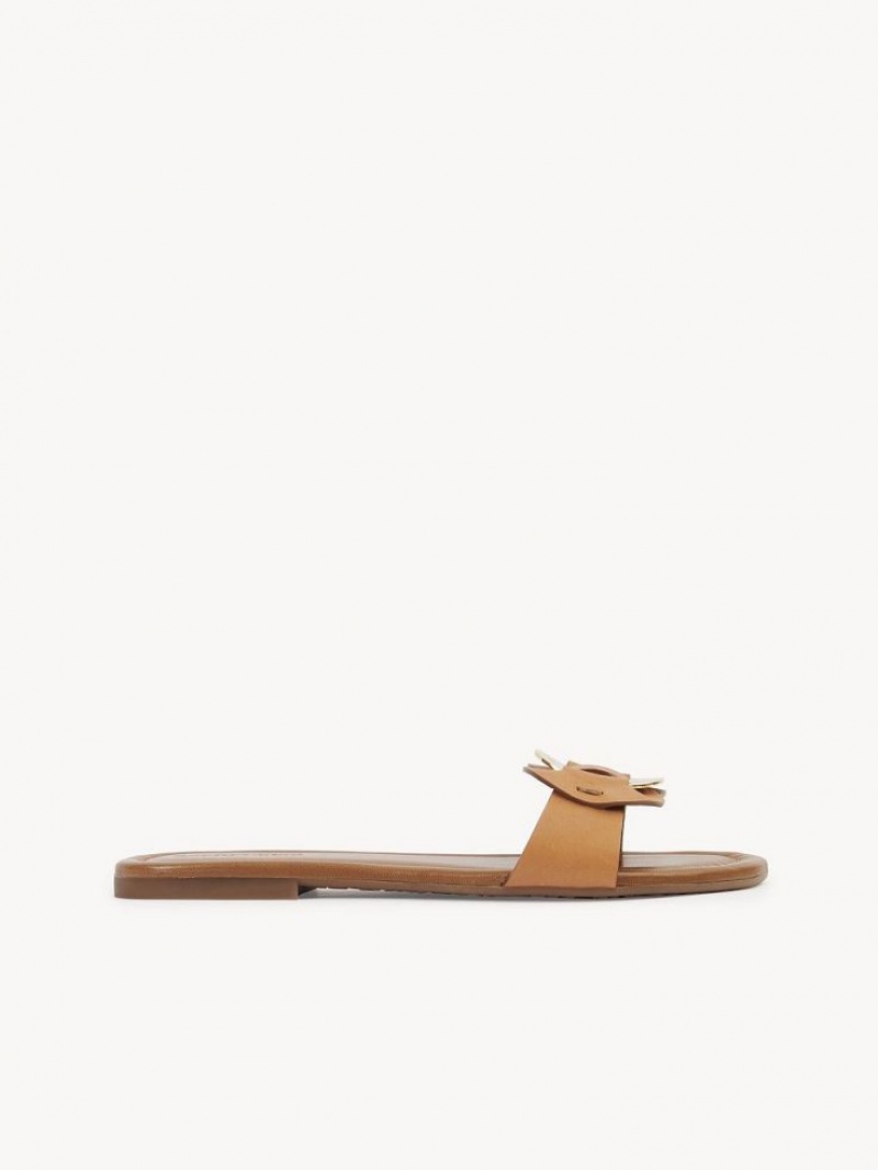 Chaussures Plates Chloe Chany Mule Marron | CHE-SR14837