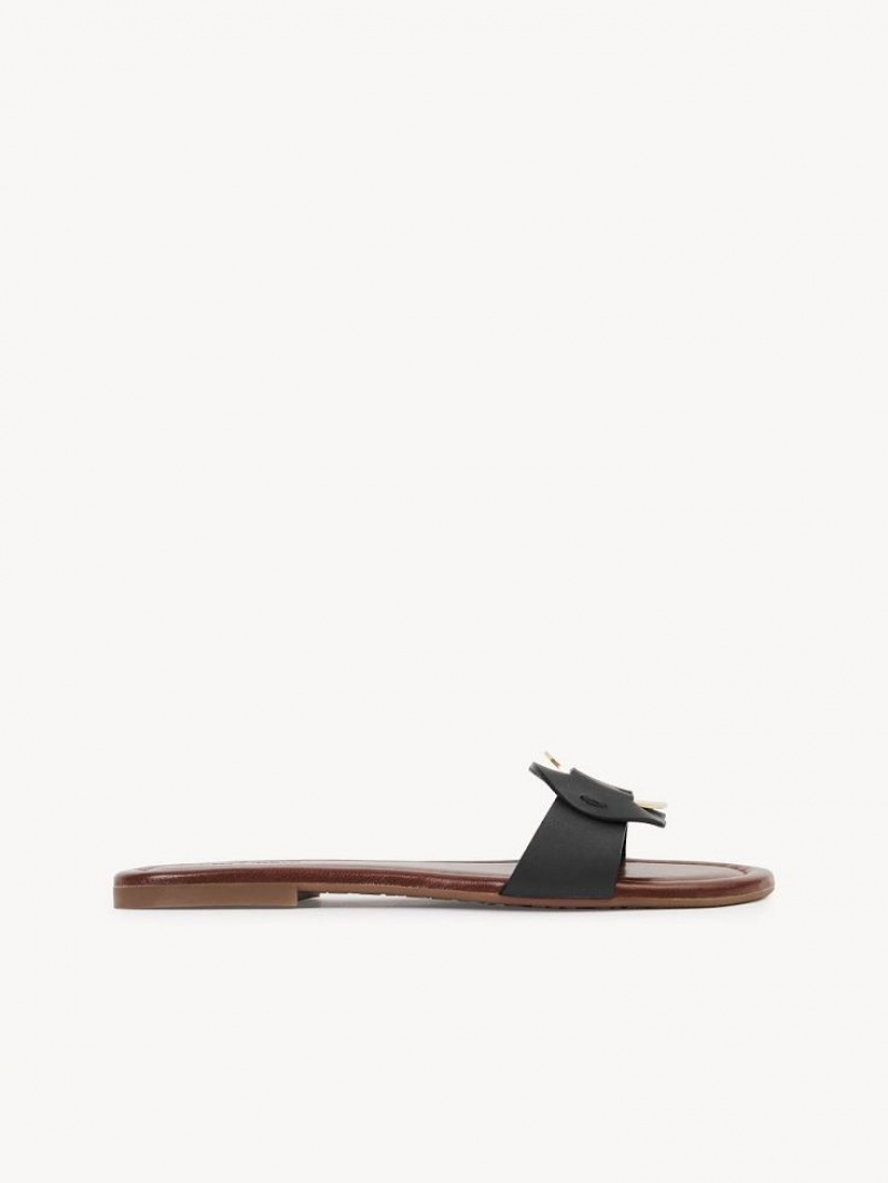 Chaussures Plates Chloe Chany Mule Noir | CHE-SR14838