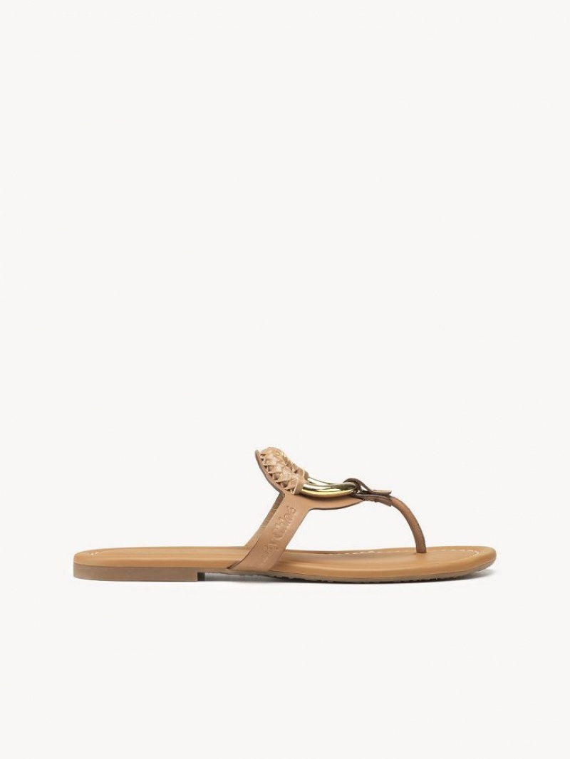 Chaussures Plates Chloe Hana Flip-flop Marron | CHE-SR14818