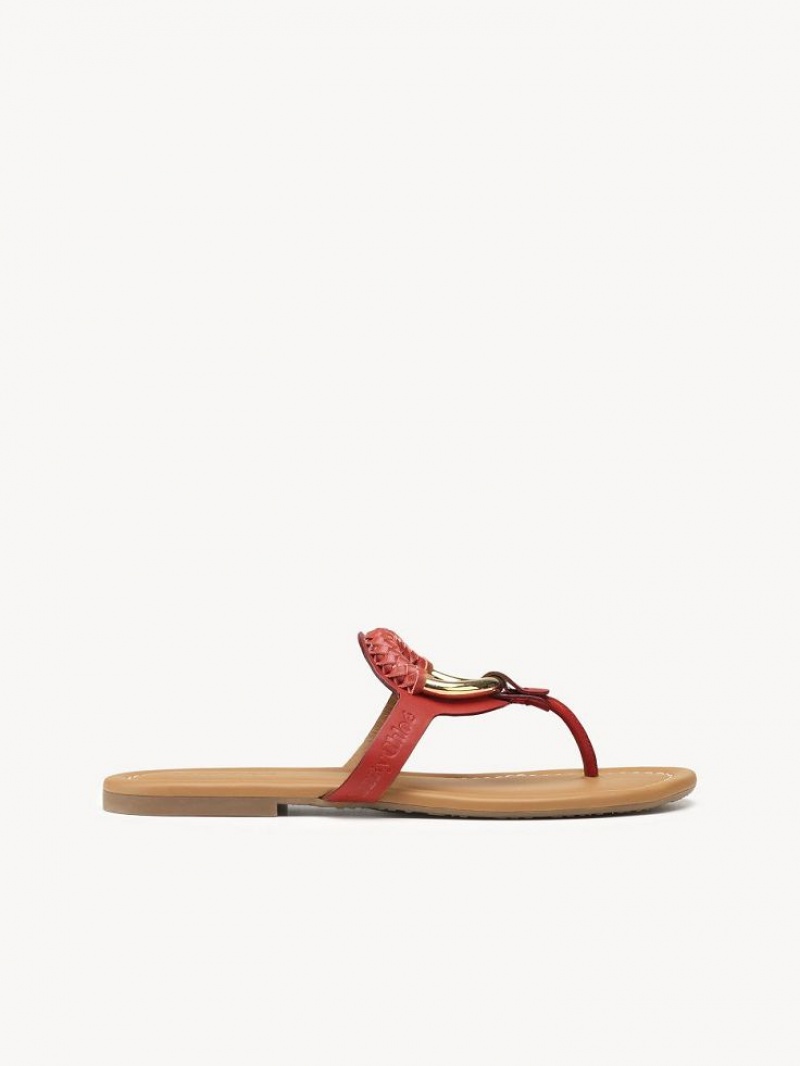 Chaussures Plates Chloe Hana Flip-flop Rouge | CHE-SR14817