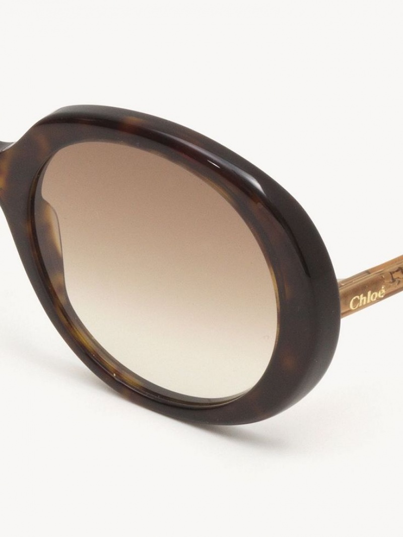 Lunette de Soleil Chloe Esther Marron | CHE-SR14529