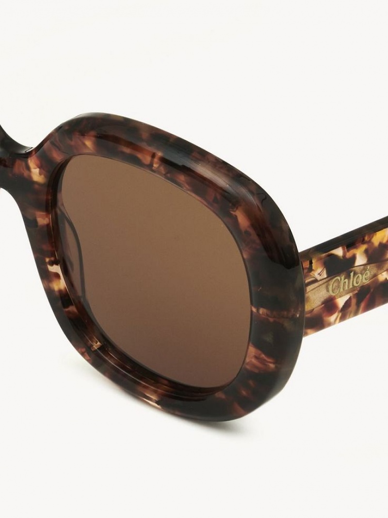 Lunette de Soleil Chloe Gayia Marble Havana | CHE-SR14578