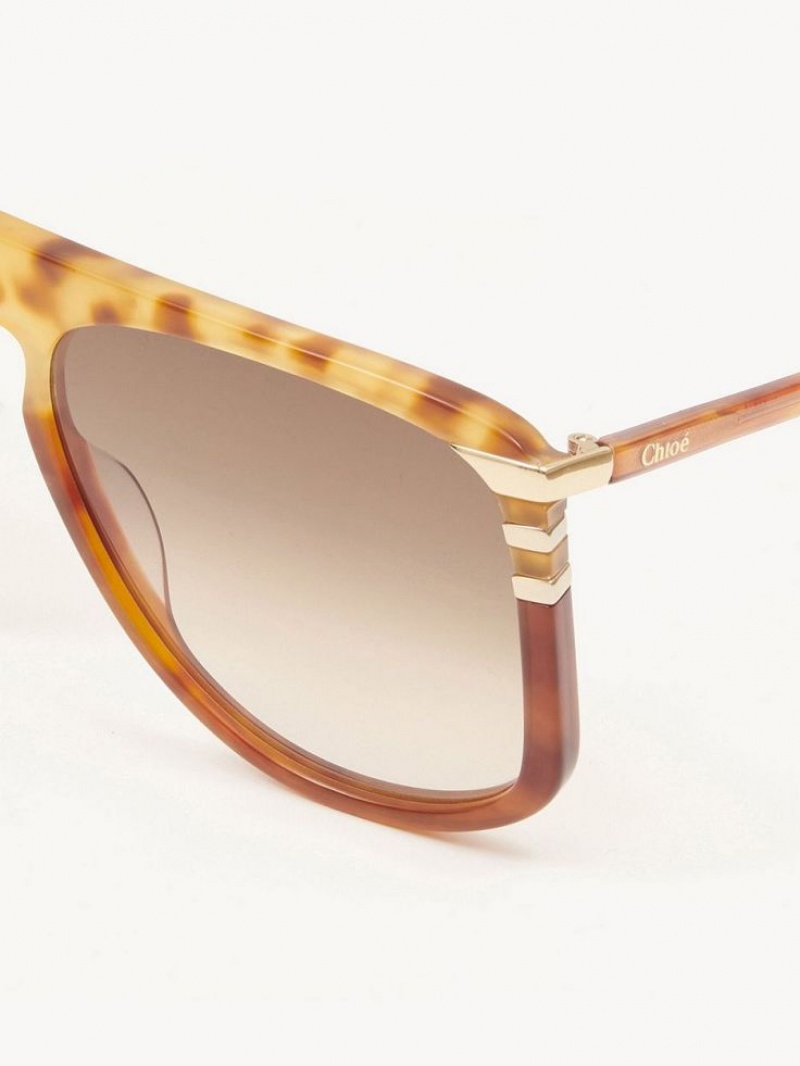 Lunette de Soleil Chloe West Havana Patchwork | CHE-SR14564