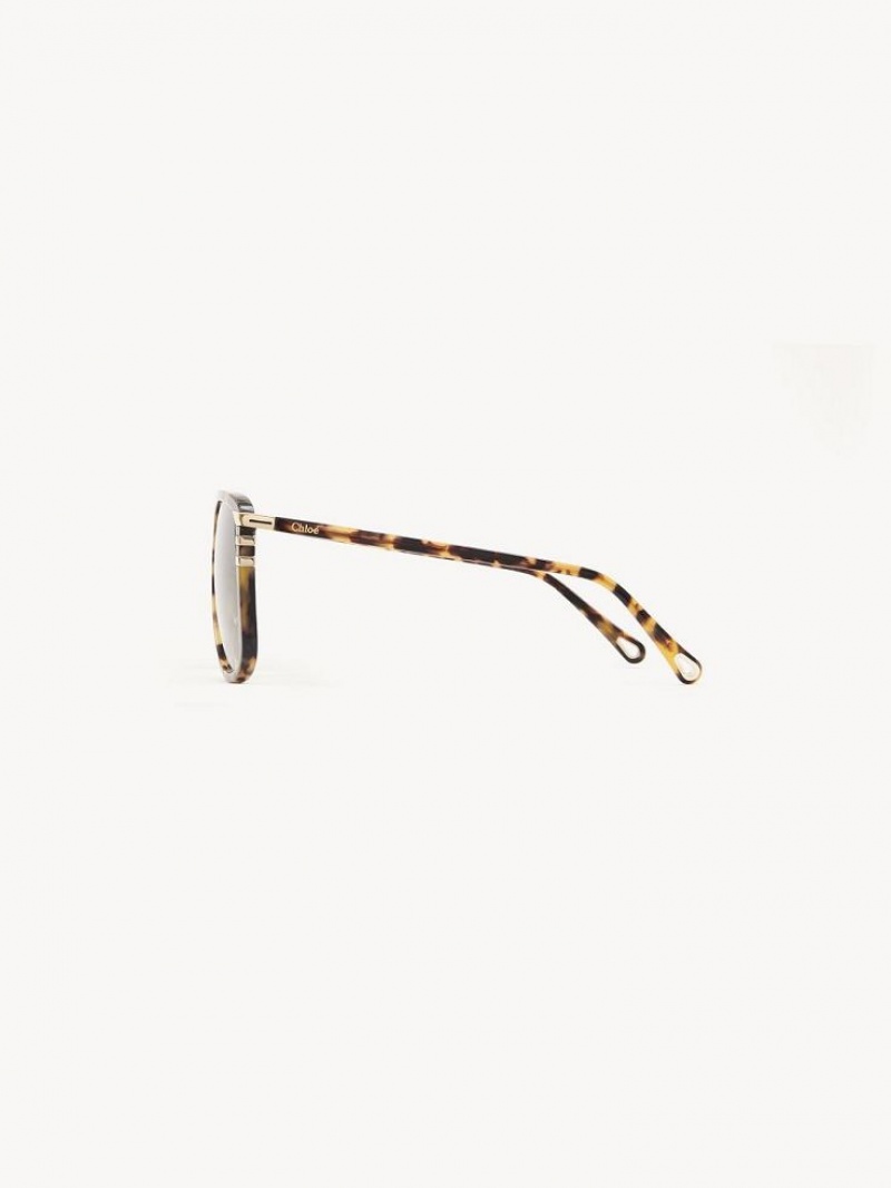 Lunette de Soleil Chloe West Havana | CHE-SR14565