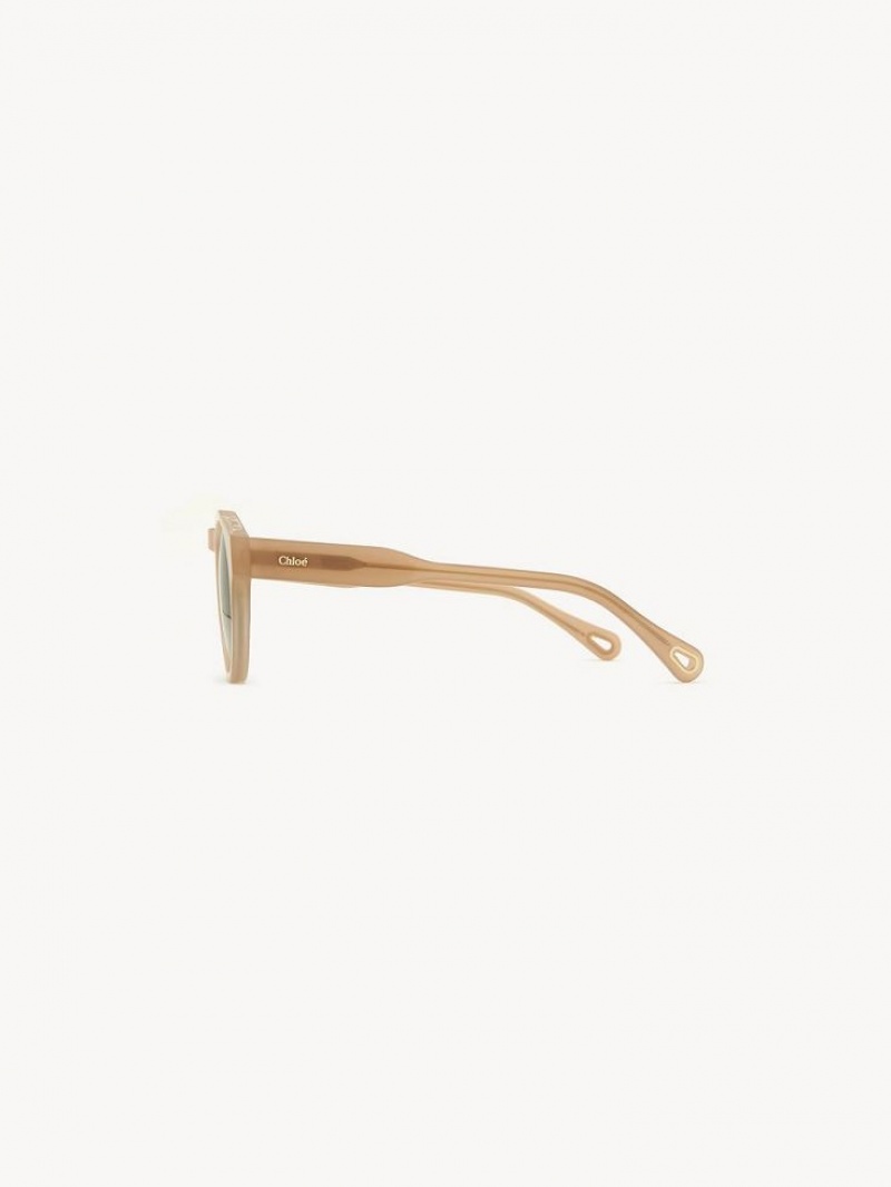 Lunette de Soleil Chloe Xena Beige | CHE-SR14514