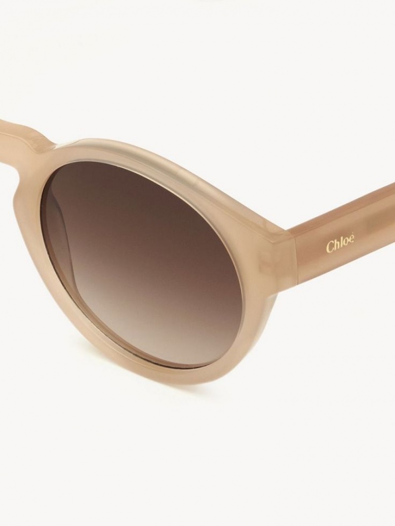 Lunette de Soleil Chloe Xena Beige | CHE-SR14514