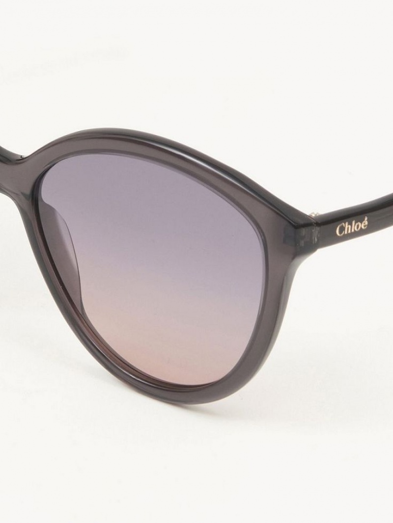 Lunette de Soleil Chloe Zelie Grise | CHE-SR14557