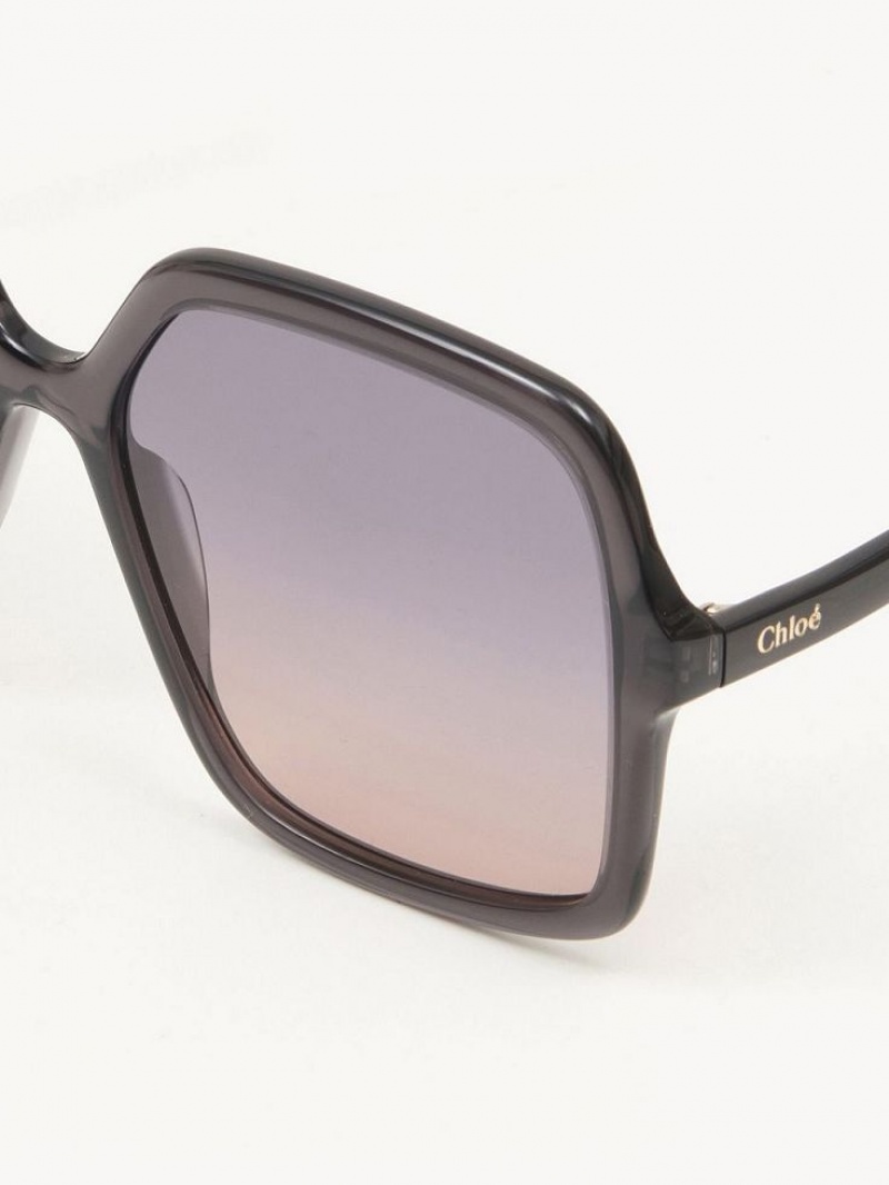 Lunette de Soleil Chloe Zelie Grise | CHE-SR14561