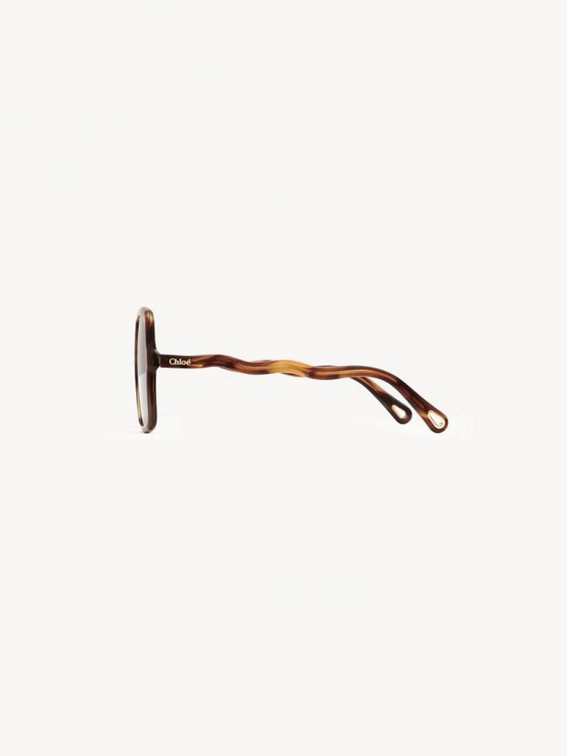 Lunette de Soleil Chloe Zelie Marron | CHE-SR14515