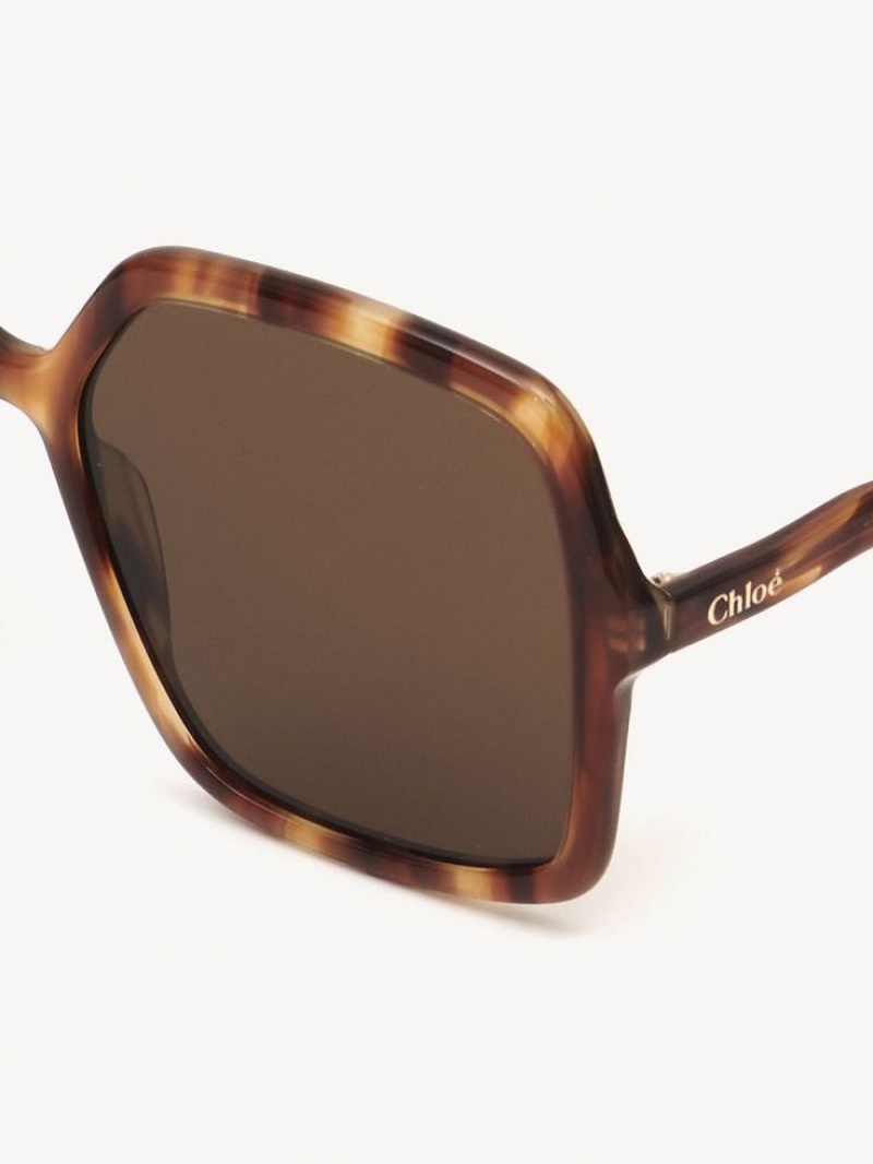 Lunette de Soleil Chloe Zelie Marron | CHE-SR14515