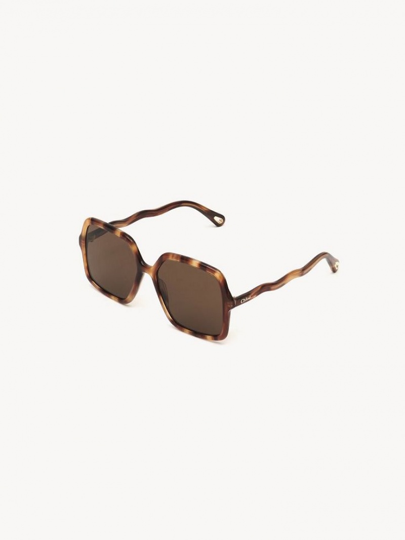 Lunette de Soleil Chloe Zelie Marron | CHE-SR14515