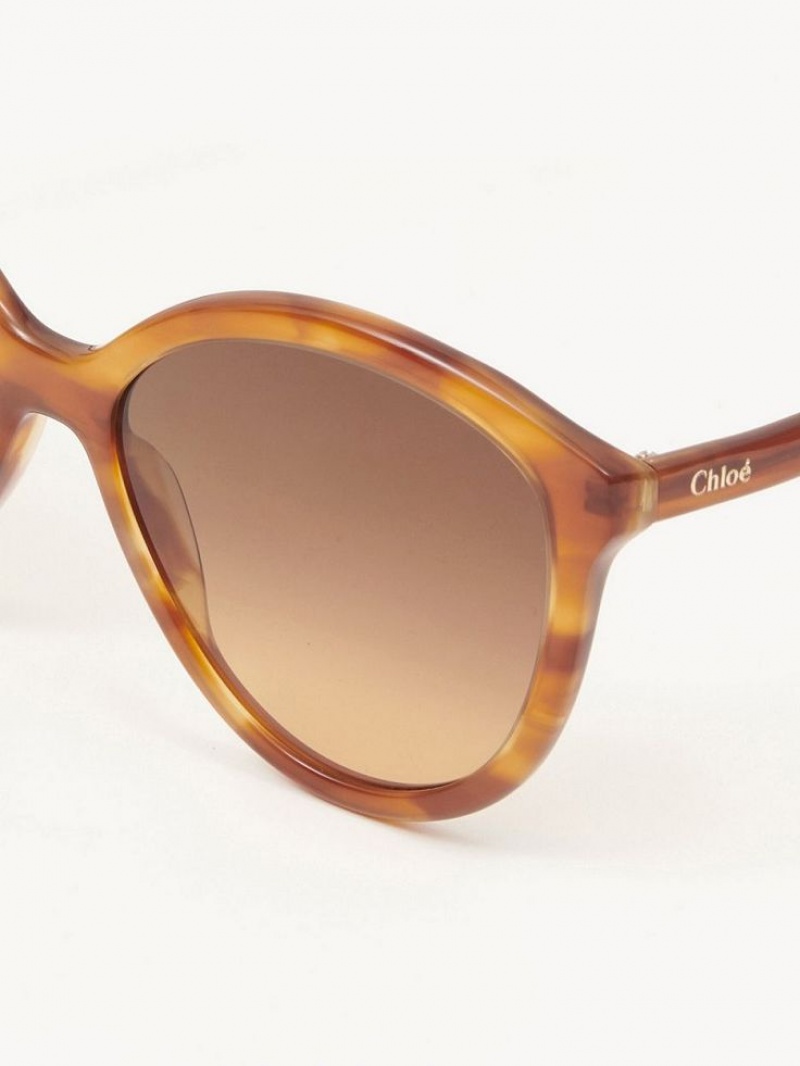 Lunette de Soleil Chloe Zelie Noir | CHE-SR14558