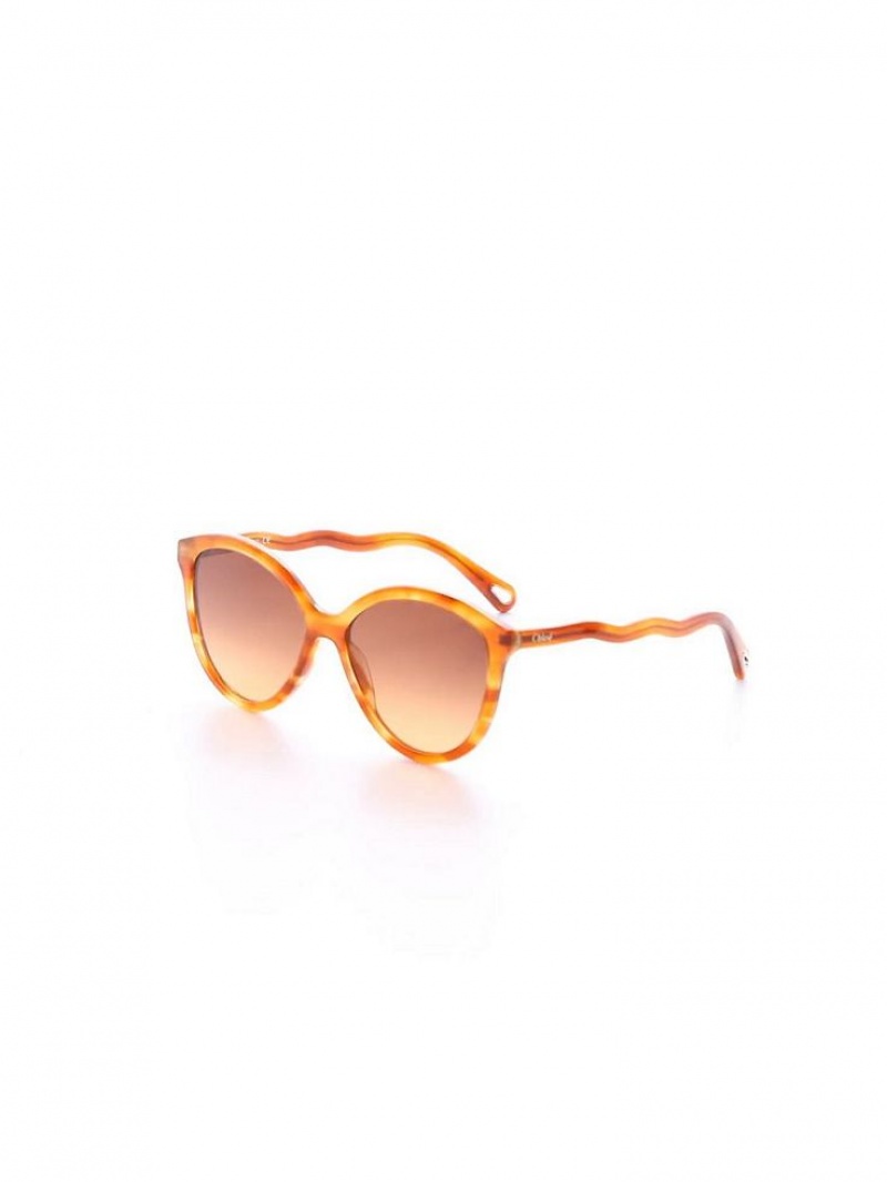 Lunette de Soleil Chloe Zelie Noir | CHE-SR14558