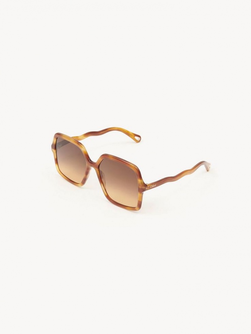 Lunette de Soleil Chloe Zelie Noir | CHE-SR14562