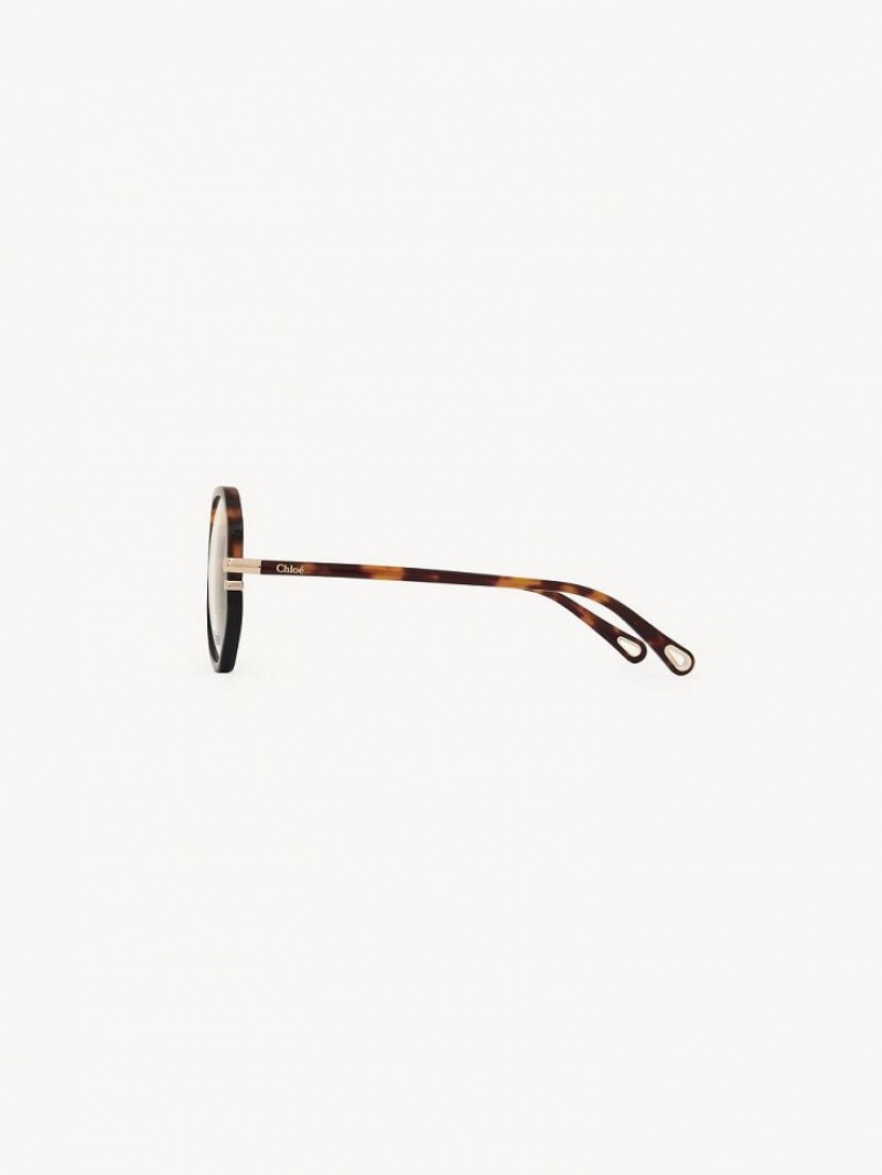 Lunettes Chloe West Havana | CHE-SR14584