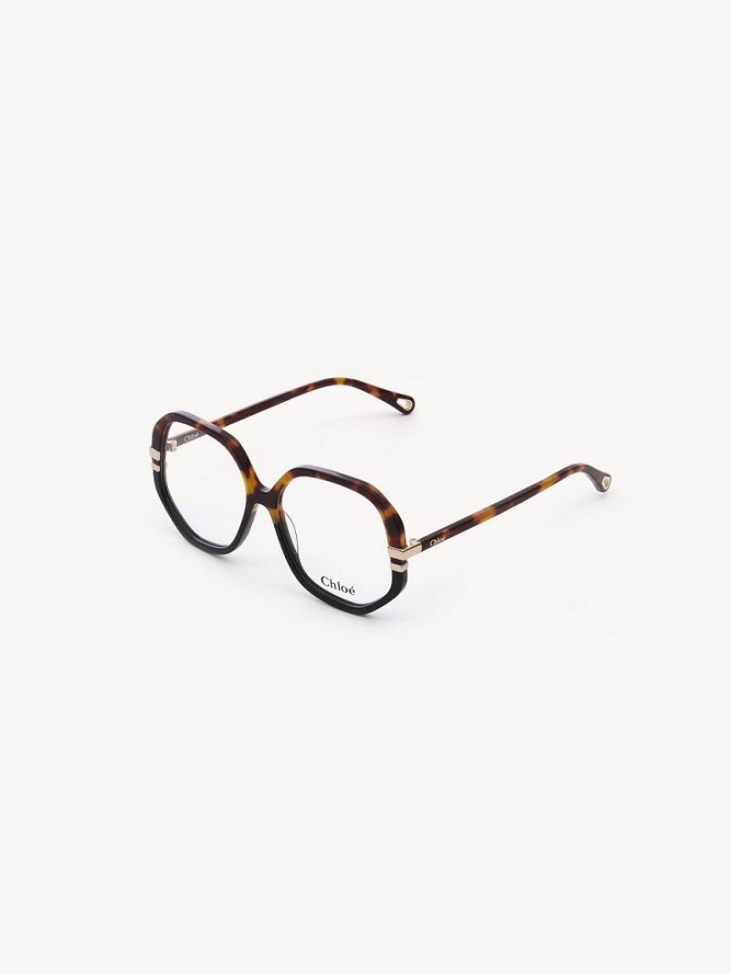 Lunettes Chloe West Havana | CHE-SR14584