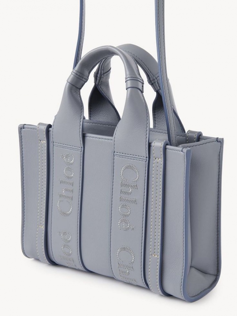 Mini Sacs Chloe Woody Tote 1 Bleu | CHE-SR13729