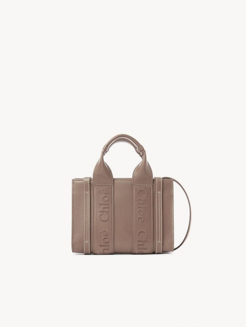 Mini Sacs Chloe Woody Tote 1 Marron | CHE-SR13728