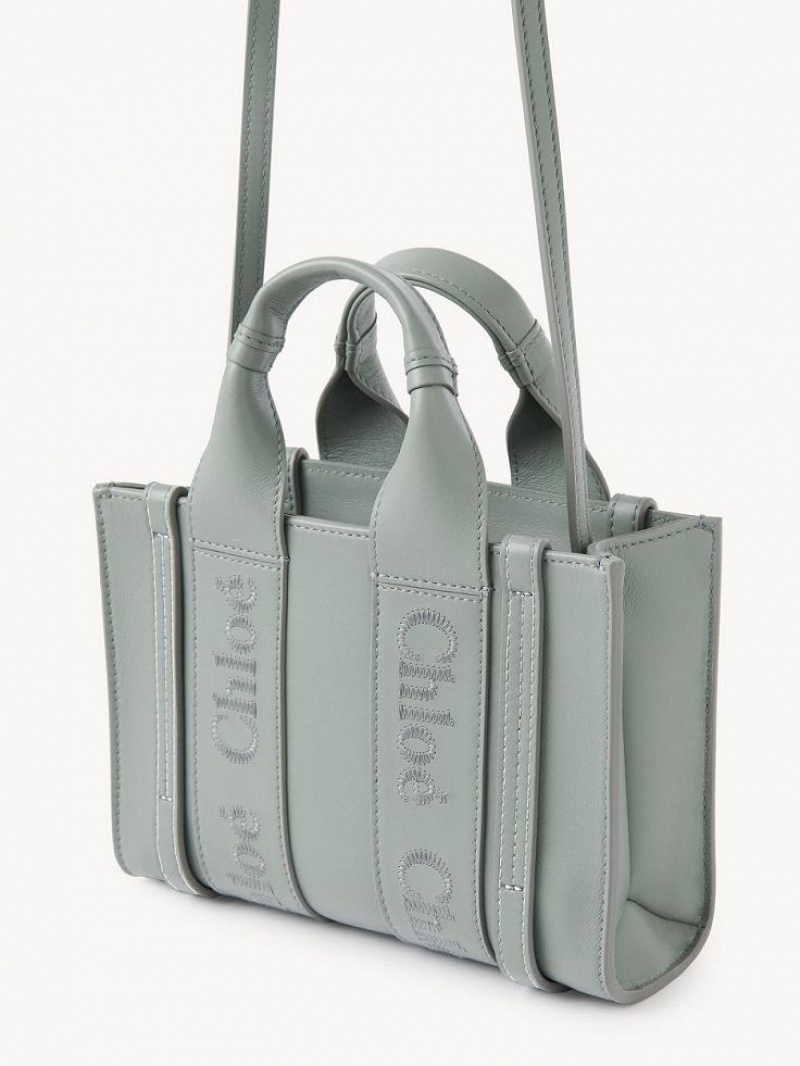 Mini Sacs Chloe Woody Tote 1 Vert | CHE-SR13697