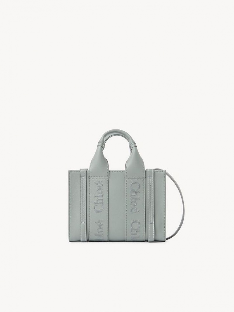 Mini Sacs Chloe Woody Tote 1 Vert | CHE-SR13697