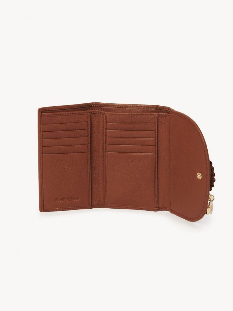 Petits Portefeuilles Chloe Hana Marron | CHE-SR14905