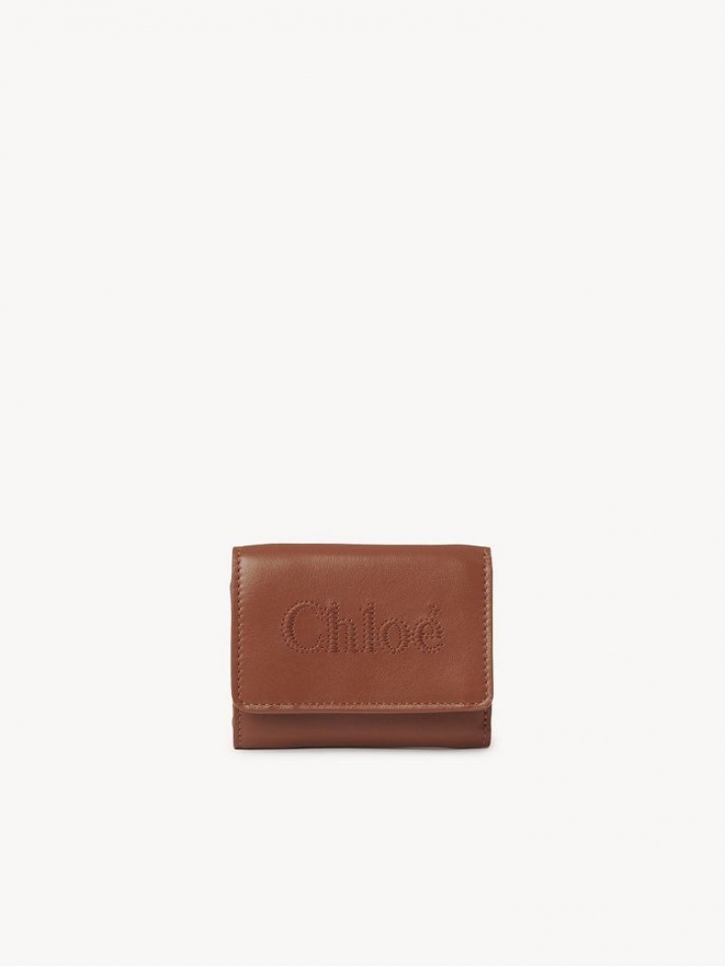 Petits Portefeuilles Chloe Sense Mini Tri-fold Marron | CHE-SR14276