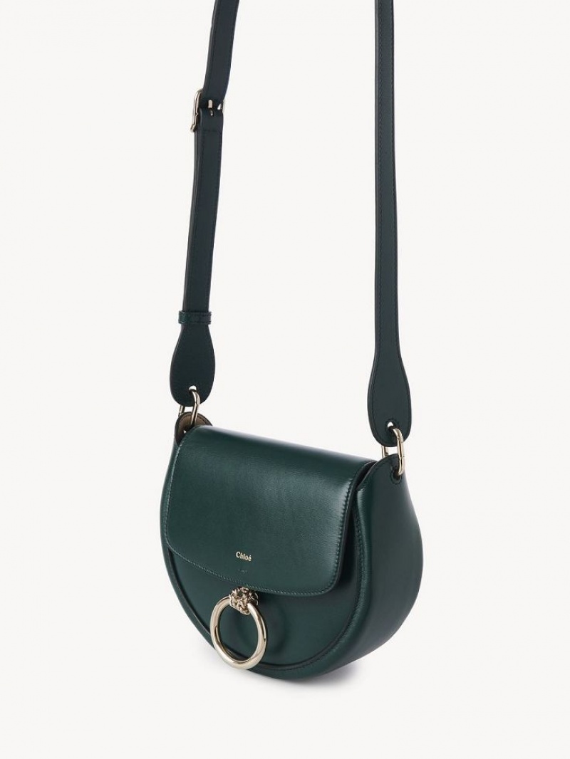 Sacs Crossbody Chloe Arlène Small Crossbody Vert | CHE-SR13463