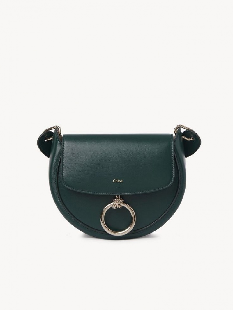 Sacs Crossbody Chloe Arlène Small Crossbody Vert | CHE-SR13463