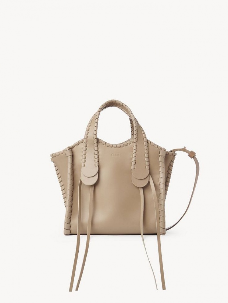 Sacs Crossbody Chloe Small Mony Marron | CHE-SR13602