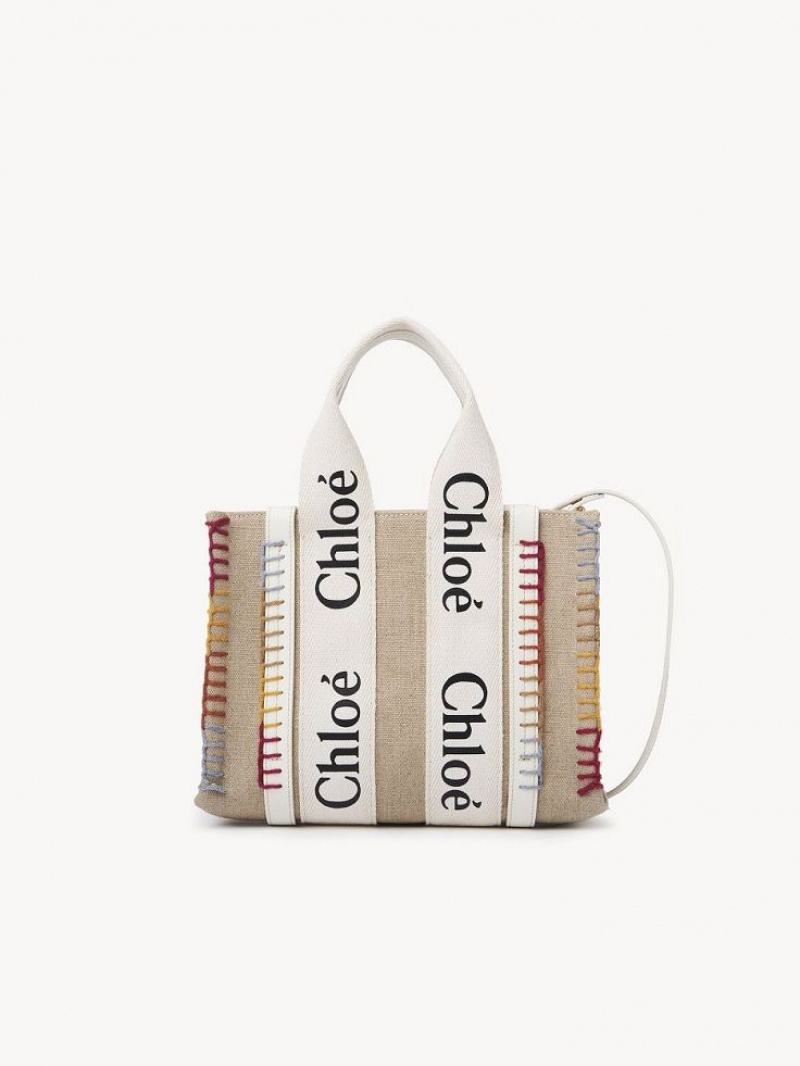 Sacs Crossbody Chloe Small Woody Blanche | CHE-SR13514