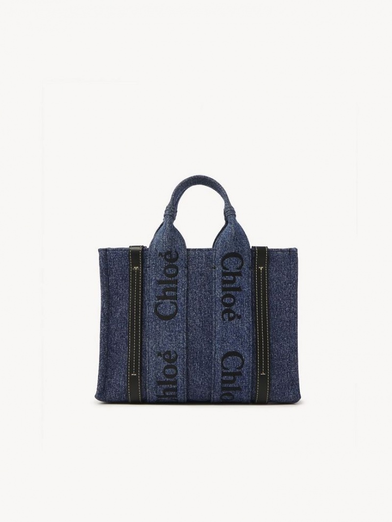 Sacs Crossbody Chloe Small Woody Bleu | CHE-SR13515