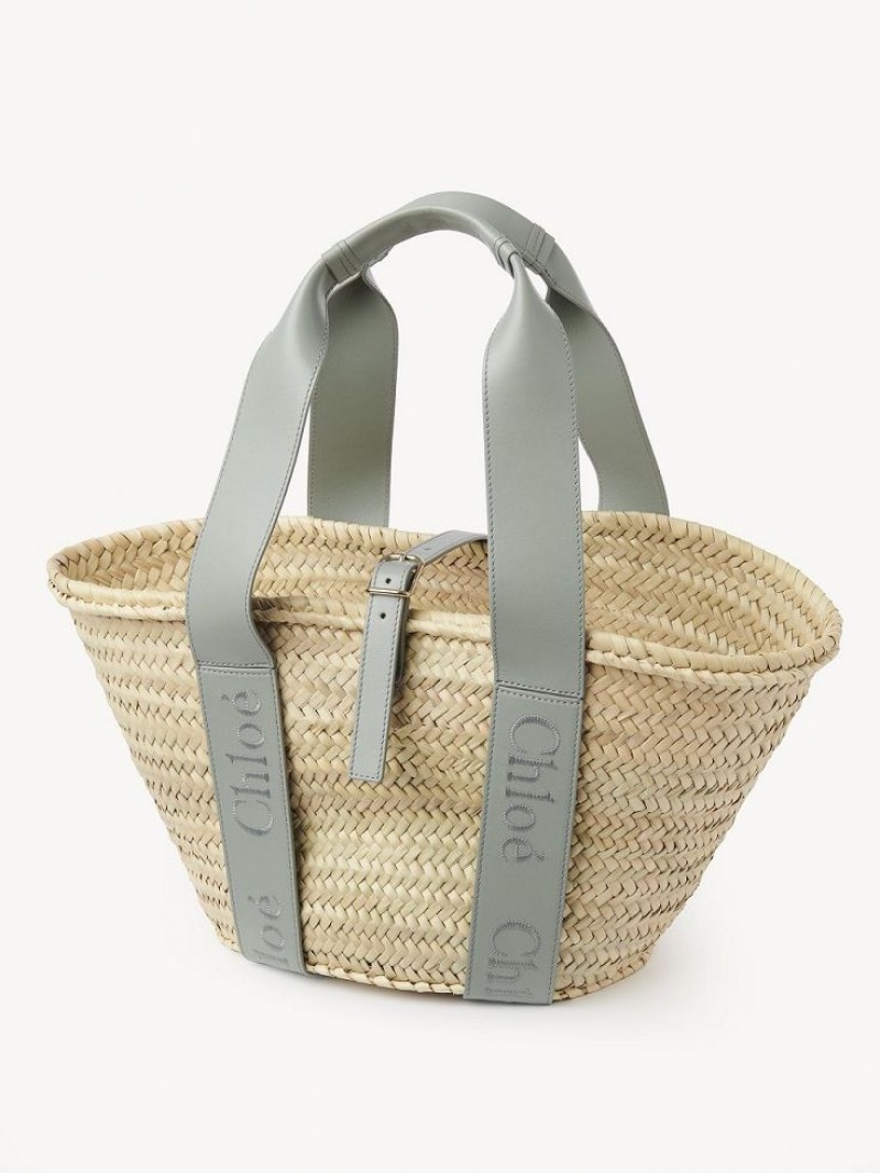 Sacs Fourre Tout Chloe Sense Medium Basket Vert | CHE-SR13383