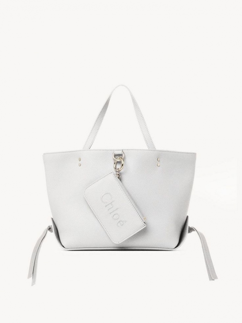 Sacs Fourre Tout Chloe Sense Small East-west Blanche | CHE-SR13328