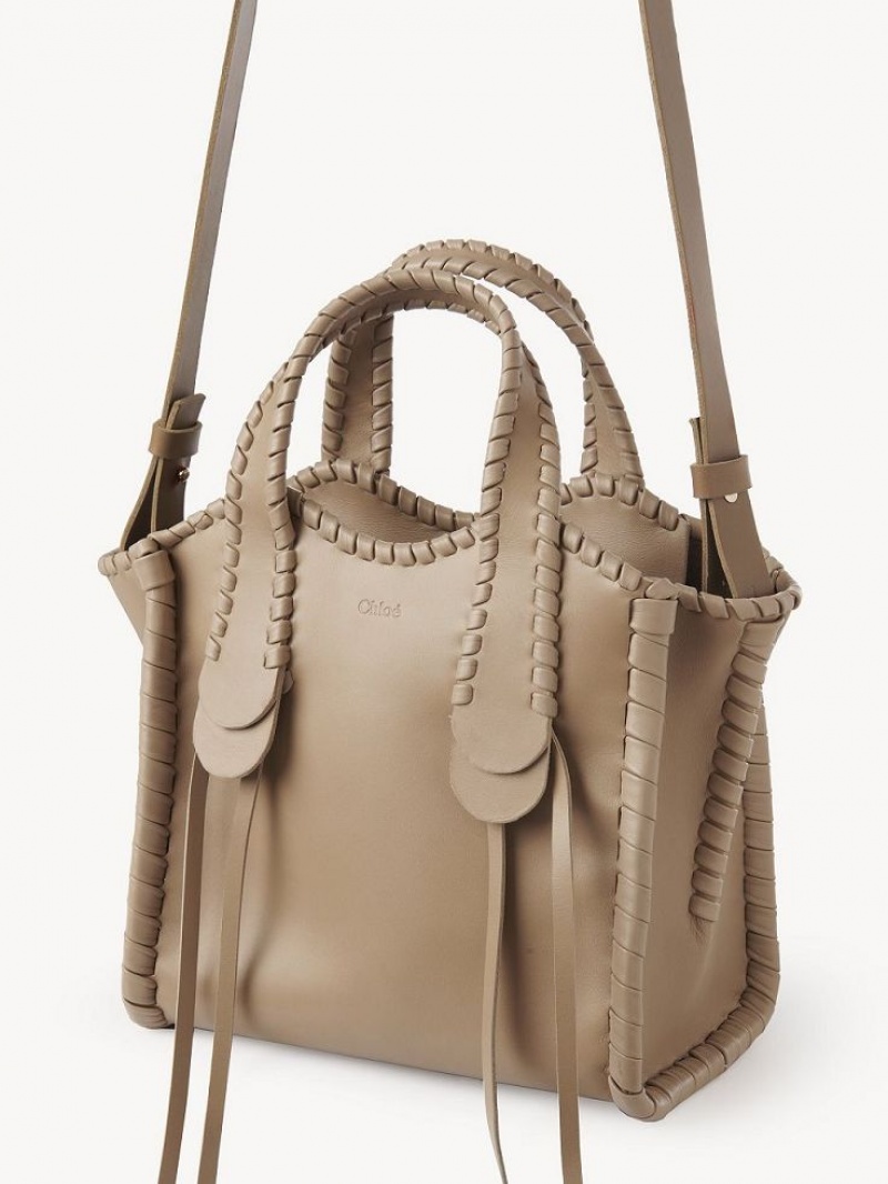 Sacs Fourre Tout Chloe Small Mony Marron | CHE-SR13400