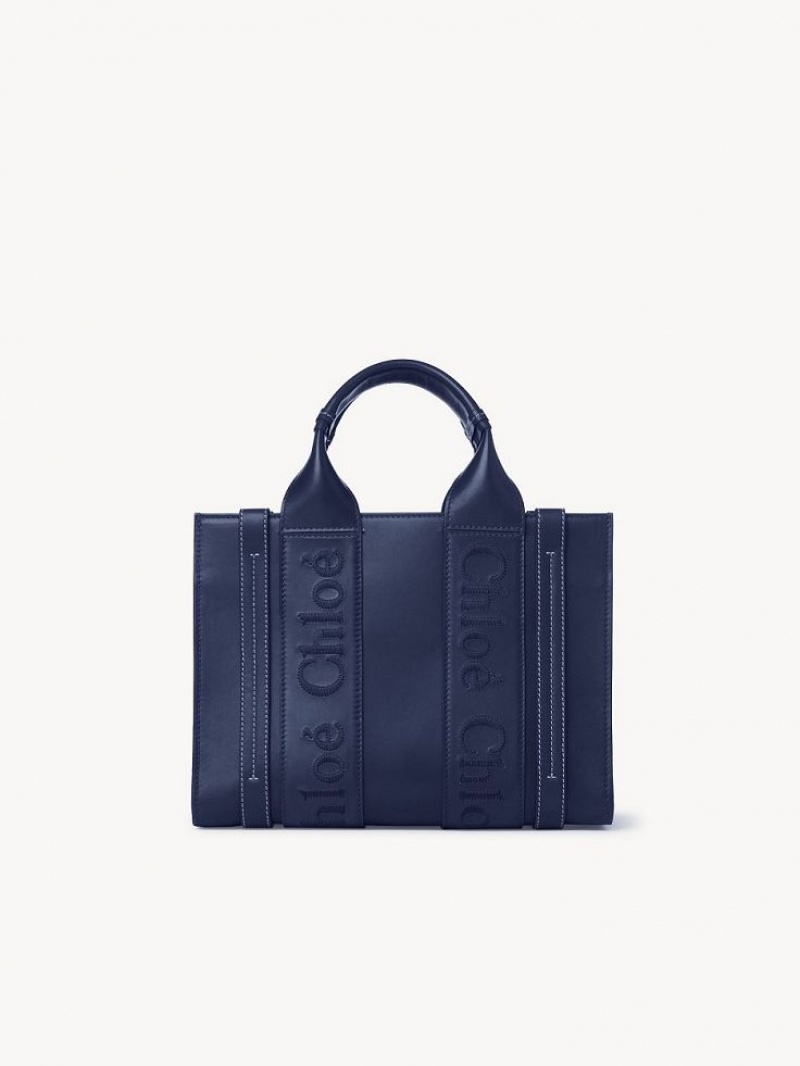 Sacs Fourre Tout Chloe Small Woody Bleu | CHE-SR13376