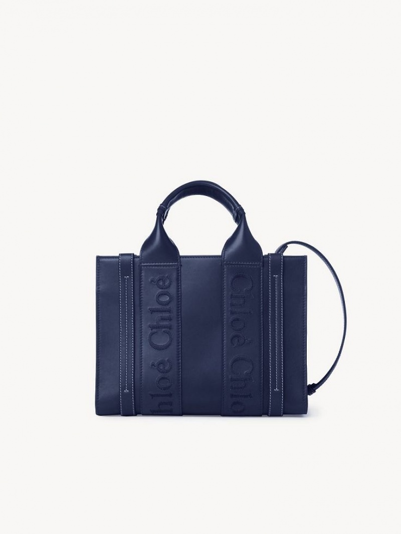 Sacs Fourre Tout Chloe Small Woody Bleu | CHE-SR13376