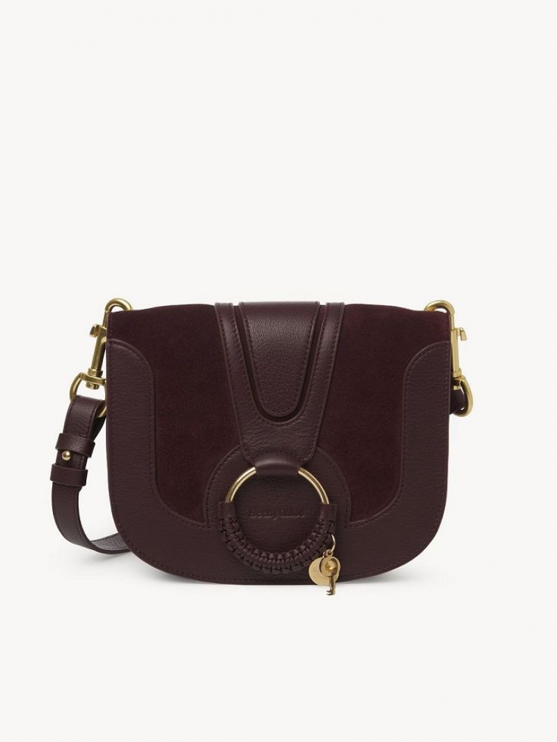 Sacs À Bandoulière Chloe Hana Bordeaux | CHE-SR14633