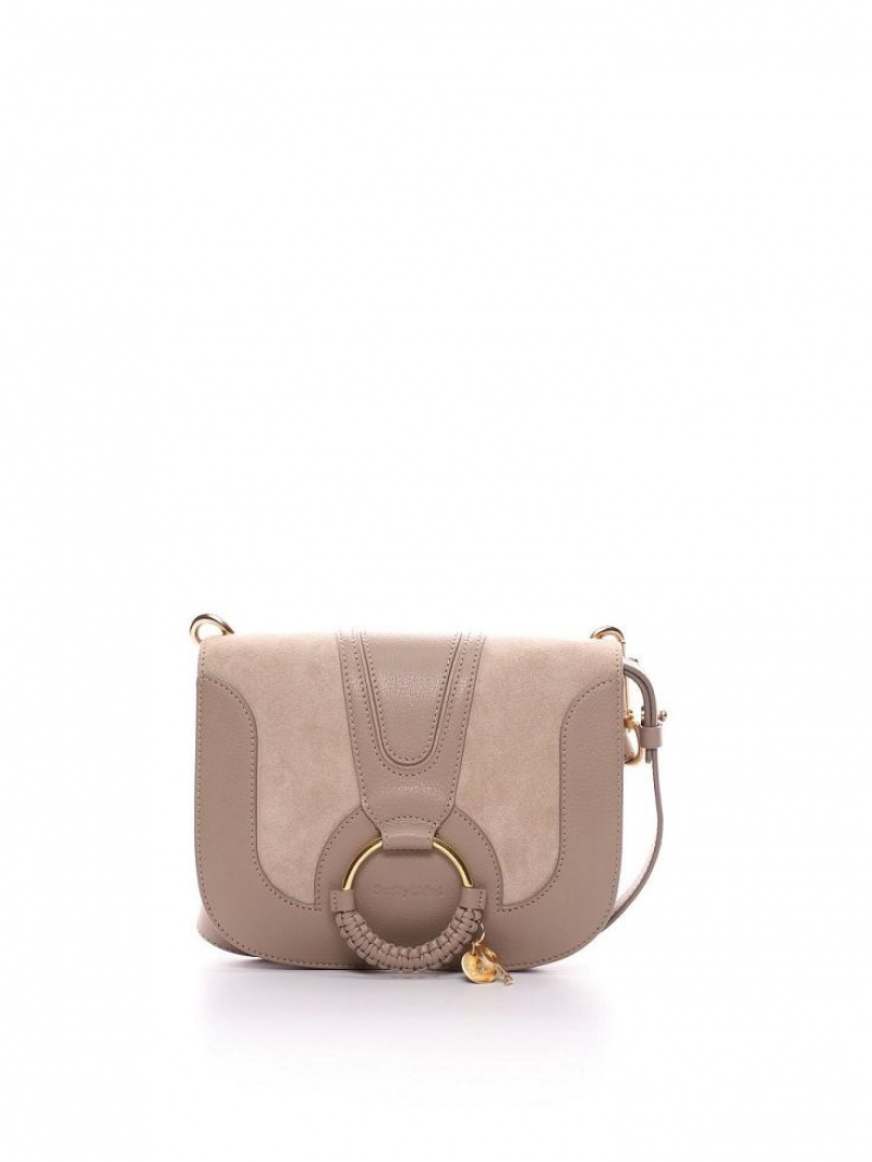 Sacs À Bandoulière Chloe Hana Grise | CHE-SR14645