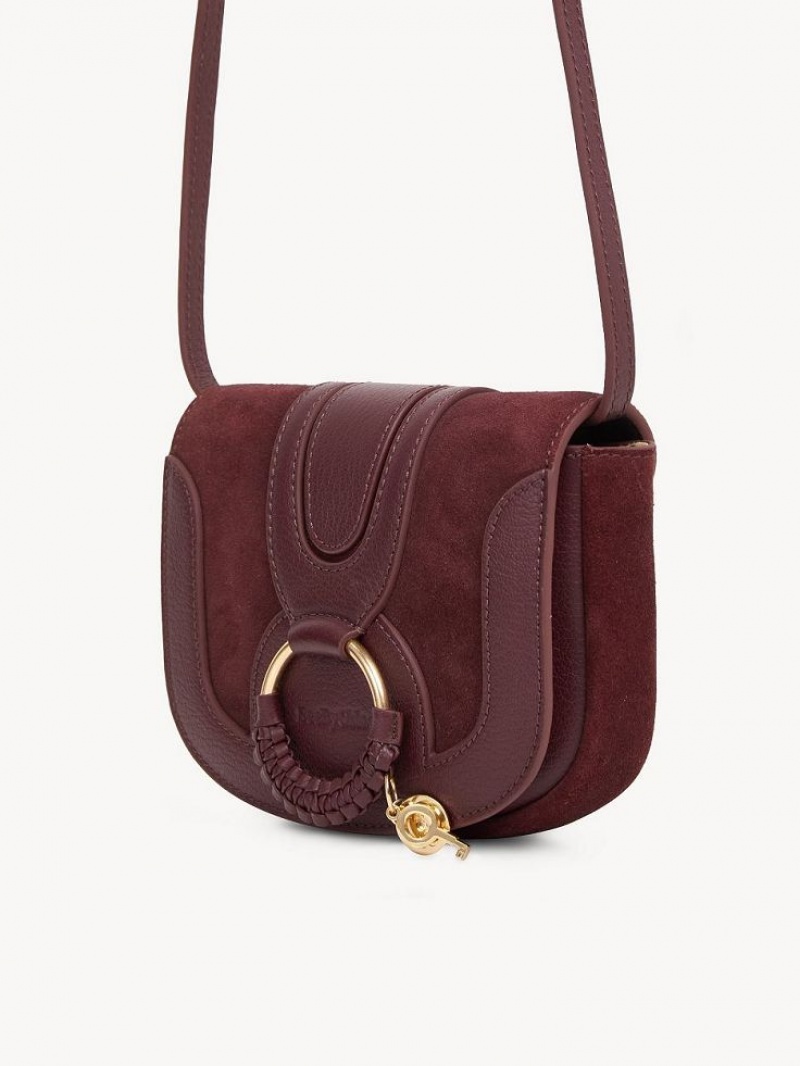 Sacs À Bandoulière Chloe Hana Mini Marron | CHE-SR14586