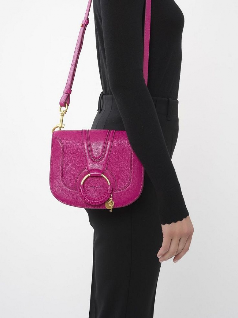 Sacs À Bandoulière Chloe Hana Rose | CHE-SR14615