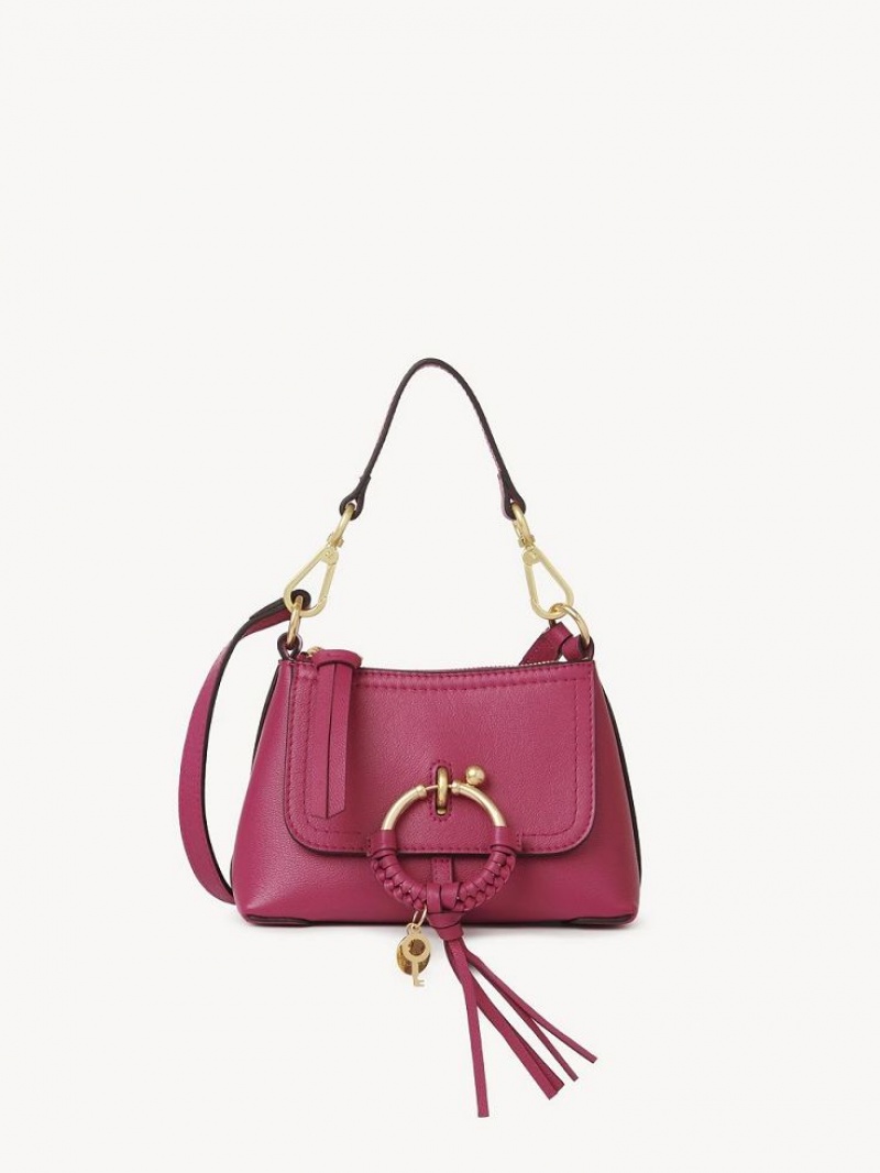 Sacs À Bandoulière Chloe Joan Mini Rose | CHE-SR14694