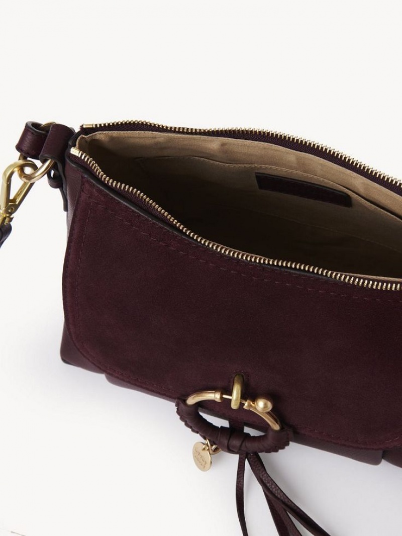 Sacs À Bandoulière Chloe Joan Small Bordeaux | CHE-SR14650