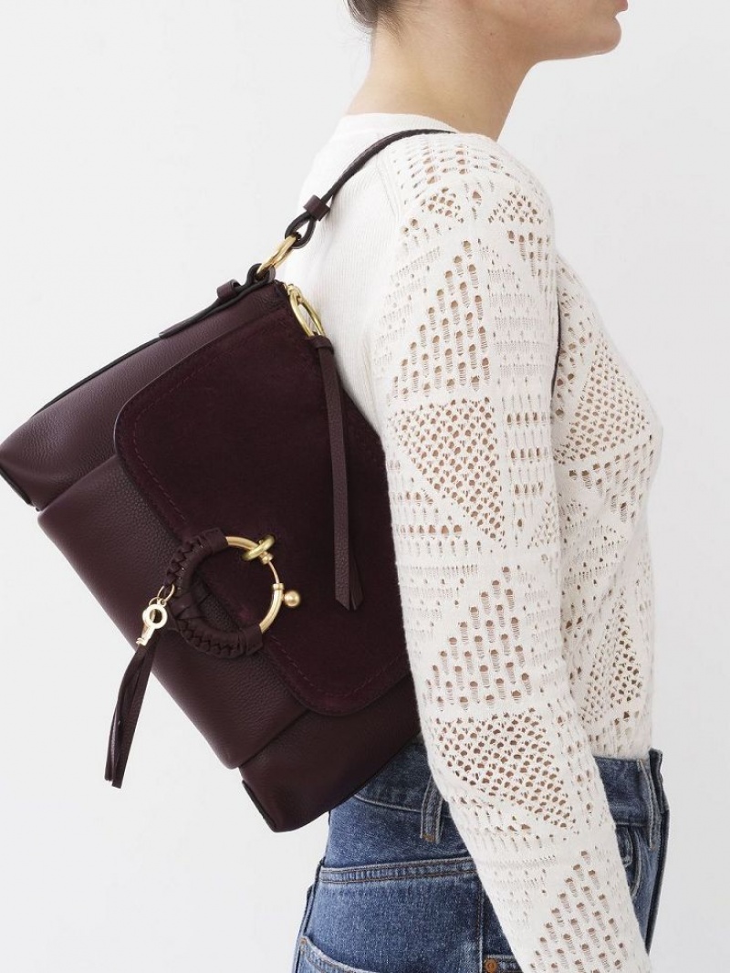 Sacs À Bandoulière Chloe Joan Small Bordeaux | CHE-SR14650