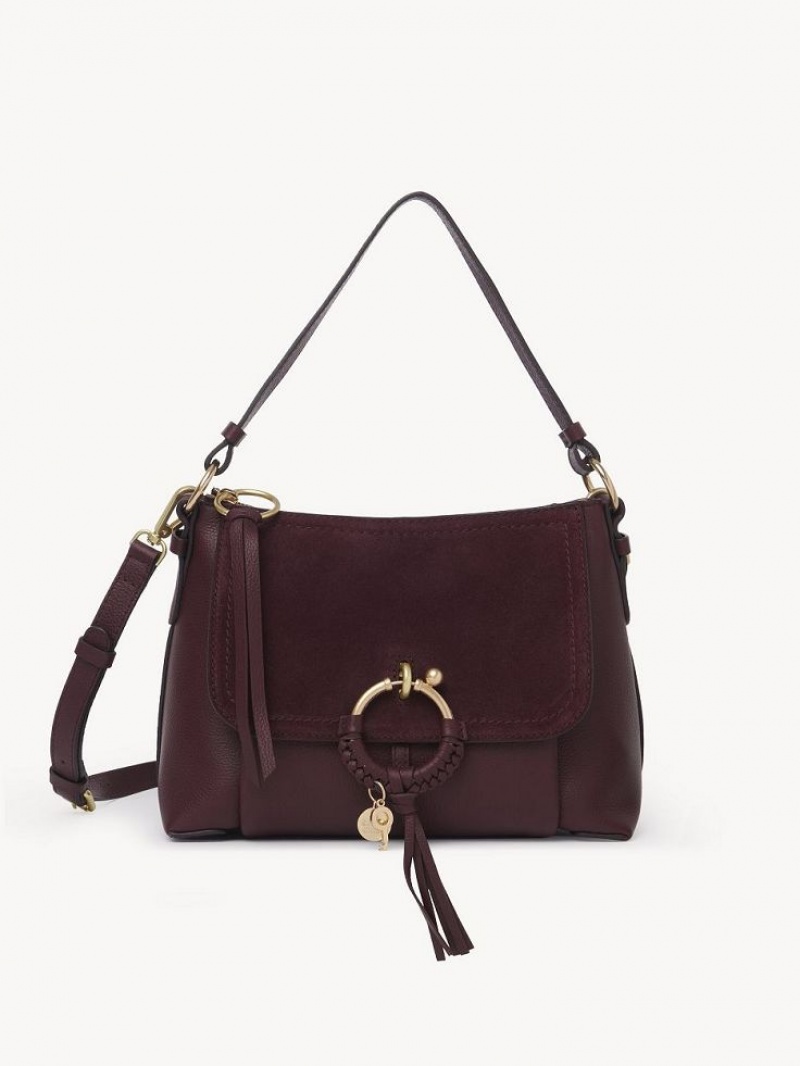 Sacs À Bandoulière Chloe Joan Small Bordeaux | CHE-SR14650