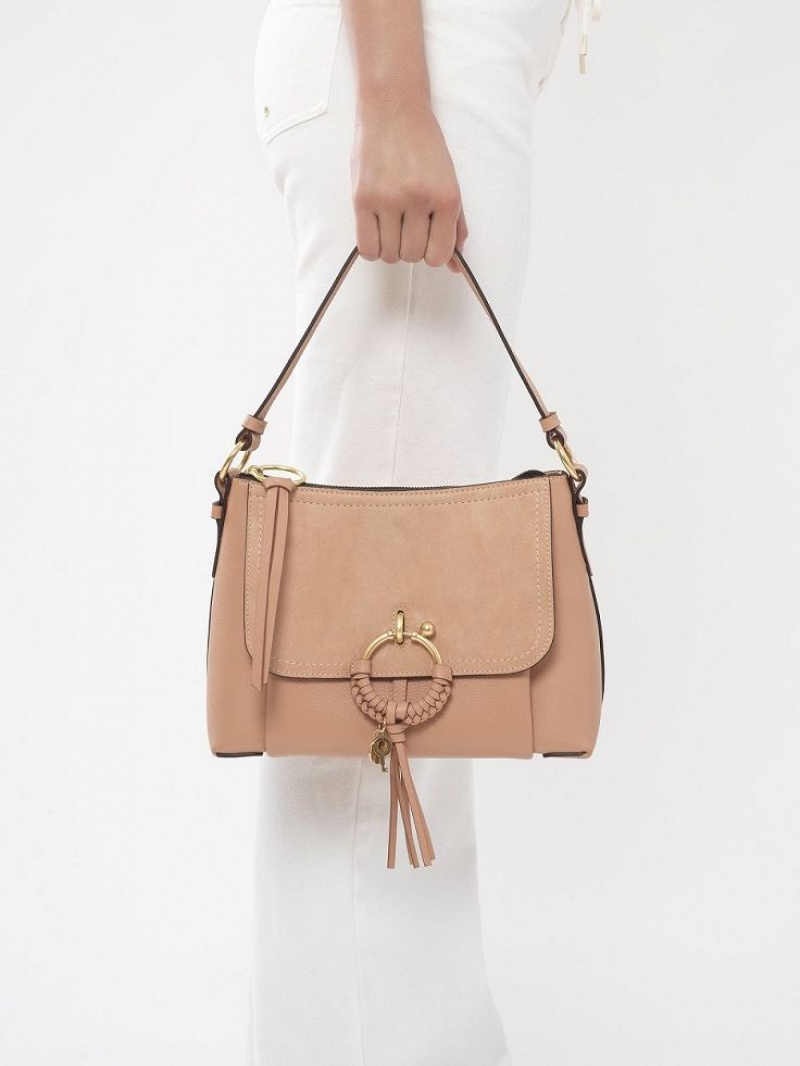 Sacs À Bandoulière Chloe Joan Small Cafe Rose | CHE-SR14697