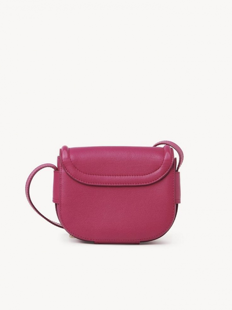 Sacs À Bandoulière Chloe Mara Small Rose | CHE-SR14617