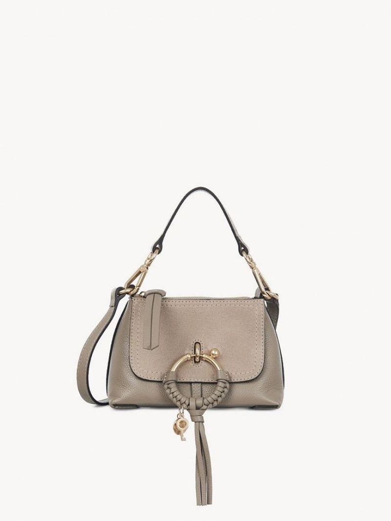 Sacs À Bandoulière Chloe Mini Joan Grise | CHE-SR14664