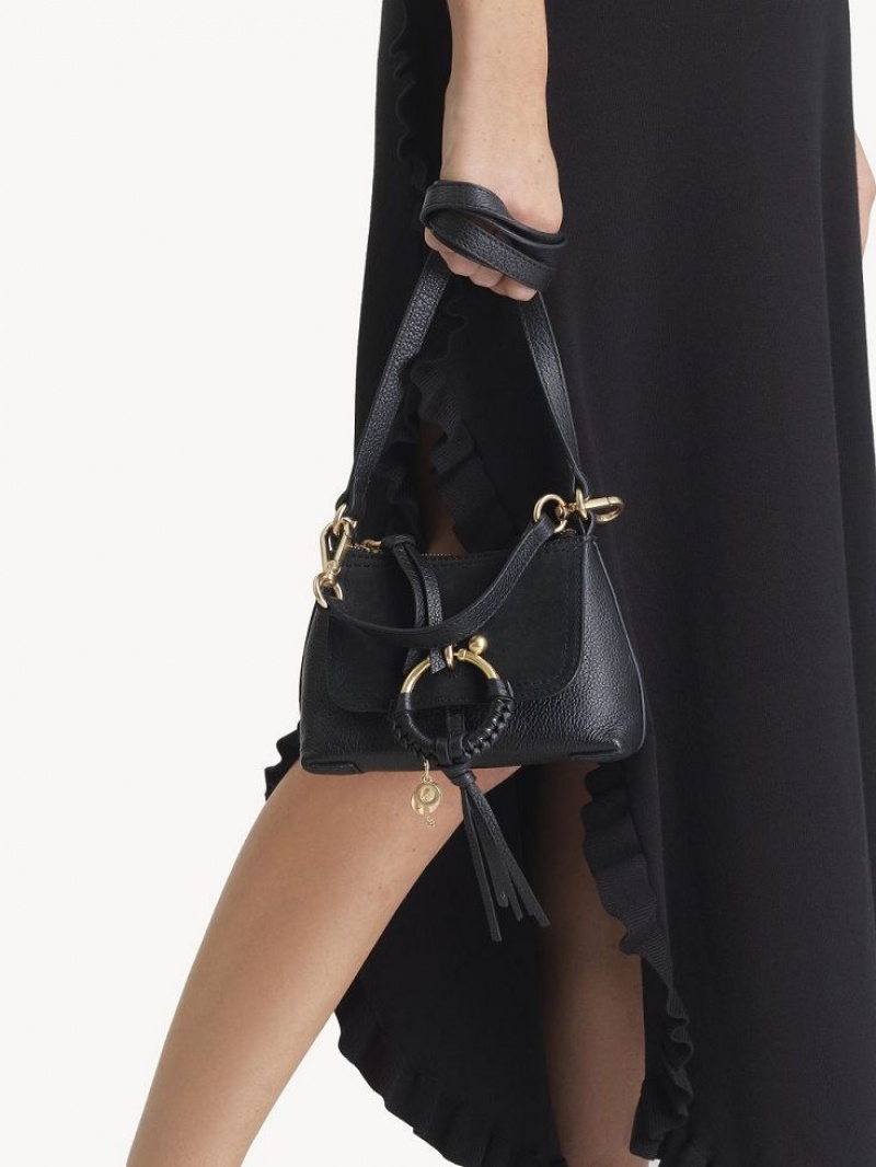 Sacs À Bandoulière Chloe Mini Joan Noir | CHE-SR14688