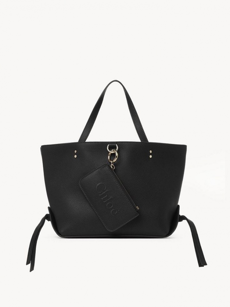 Sacs À Bandoulière Chloe Sense Small East-west Noir | CHE-SR13420