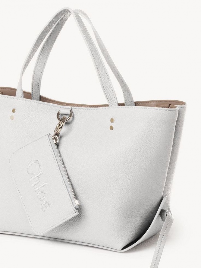 Sacs À Bandoulière Chloe Sense Small East-west Blanche | CHE-SR13421